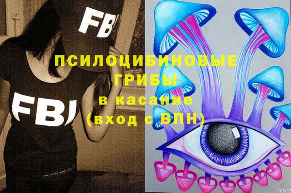индика Алексеевка