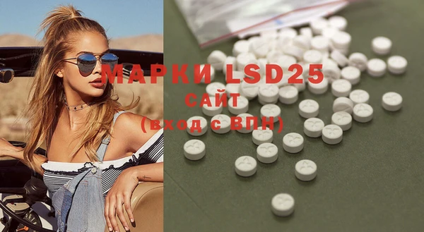 ECSTASY Алзамай