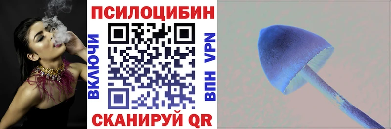 дарнет шоп Инсар Псилоцибиновые грибы GOLDEN TEACHER